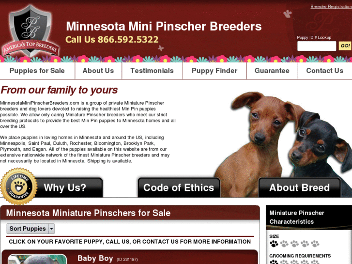 www.minnesotaminipinscherbreeders.com