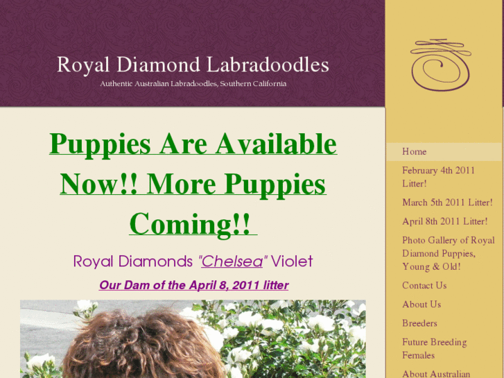 www.royaldiamondlabradoodles.com