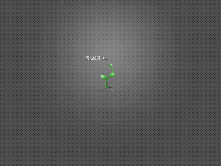 www.rubinz.cn