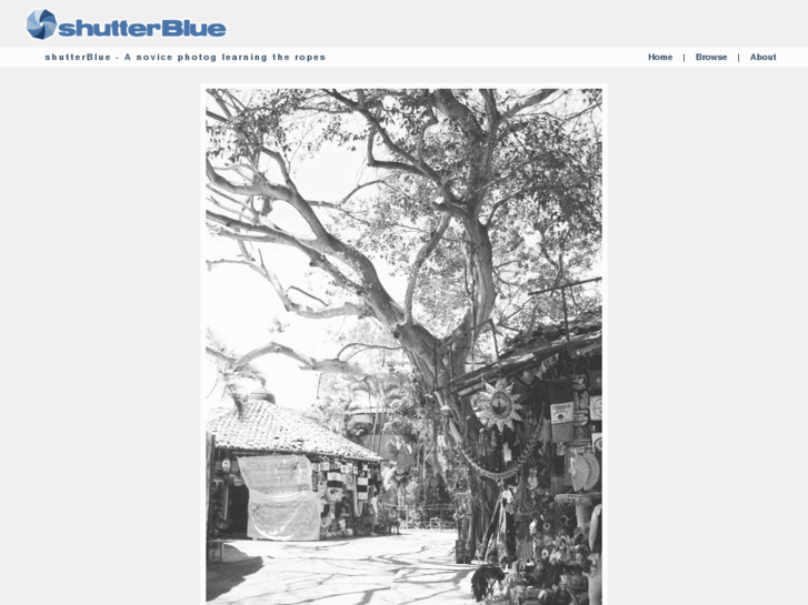 www.shutterblue.com