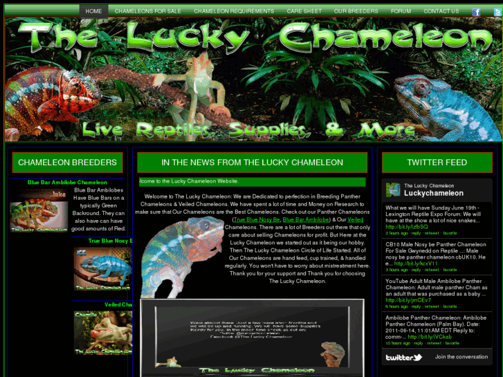 www.theluckychameleon.com