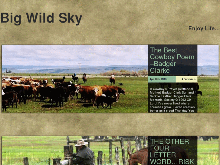 www.bigwildsky.com