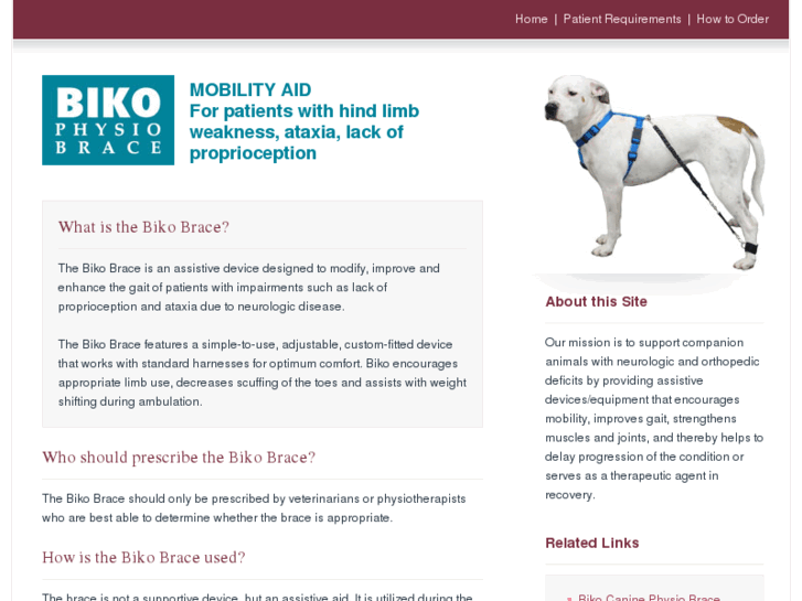 www.biko-northamerica.com