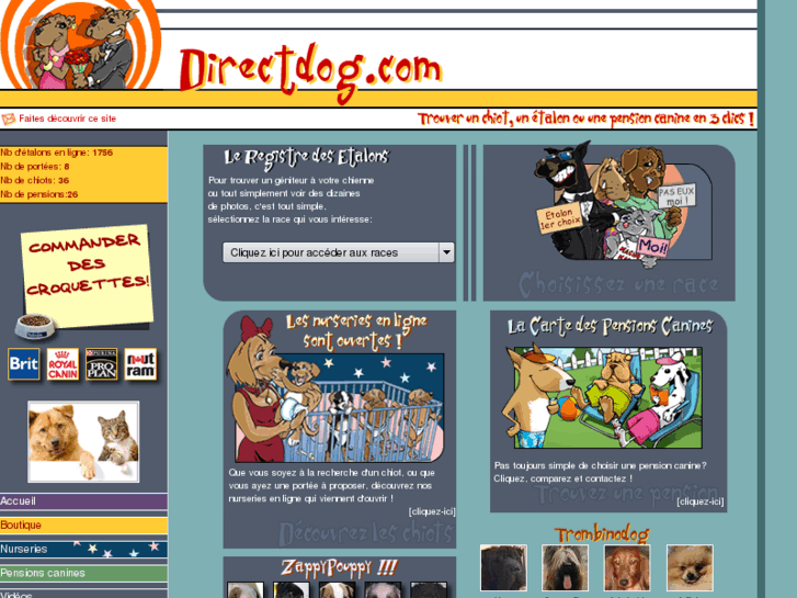 www.directdog.com