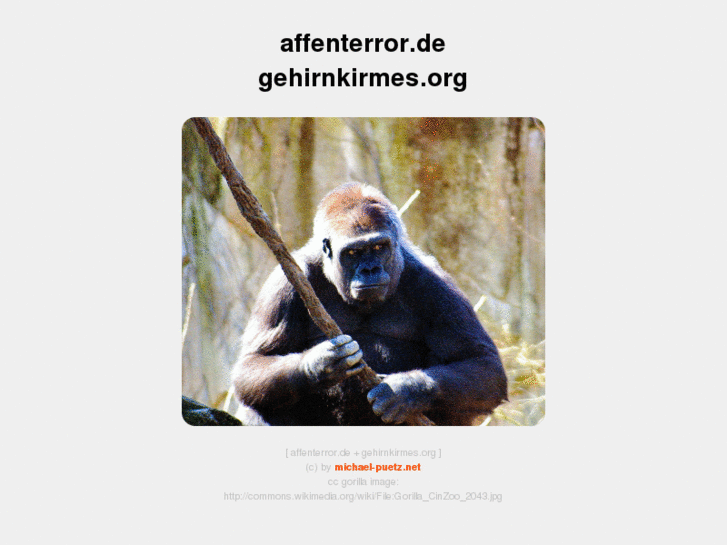 www.gehirnkirmes.org