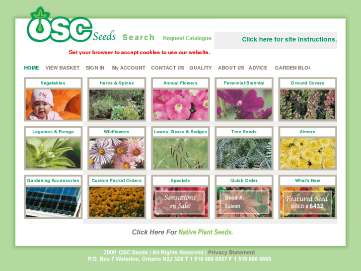 www.oscseeds.com