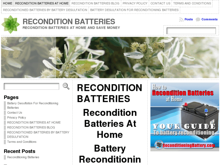 www.reconditionbatteries.net