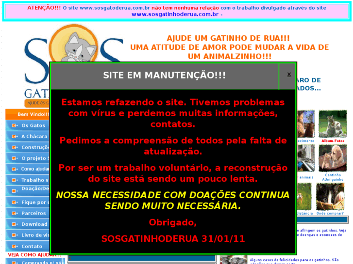 www.sosgatinhoderua.com.br