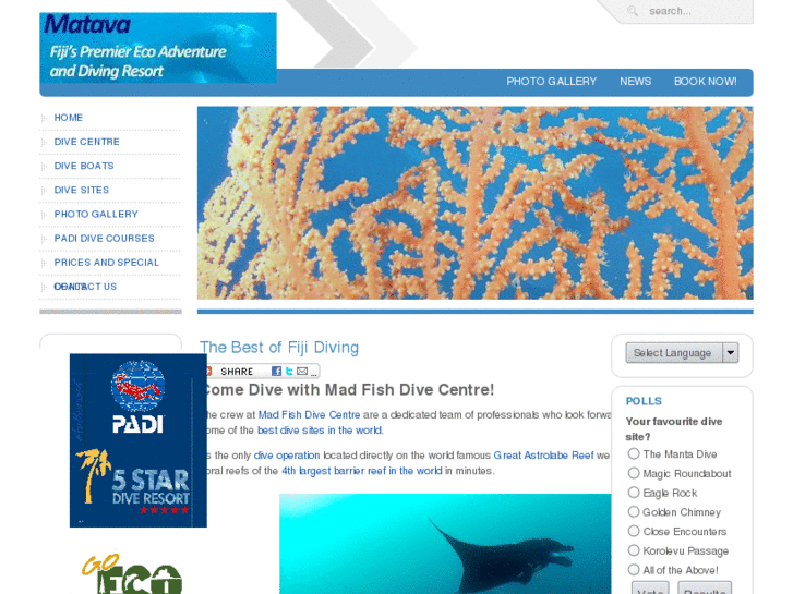 www.fiji-scuba-dive.com