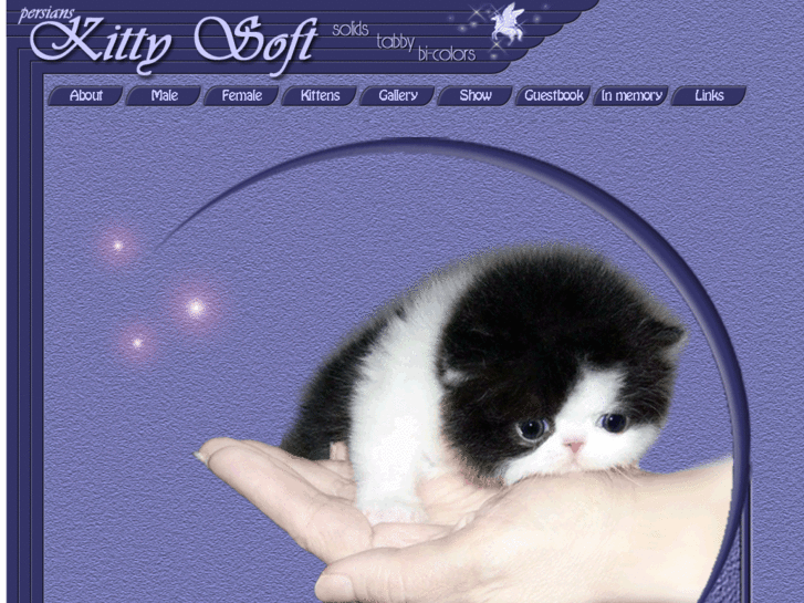 www.kittysoft.net