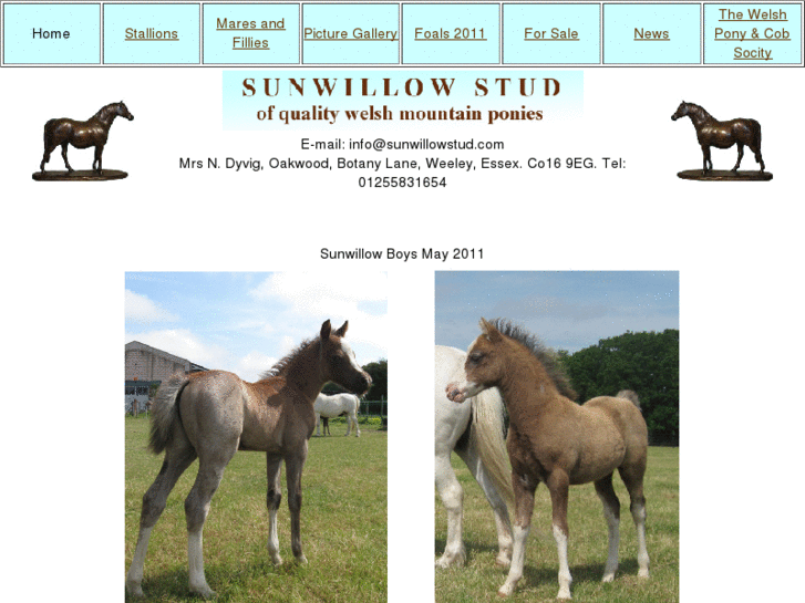 www.sunwillowstud.com