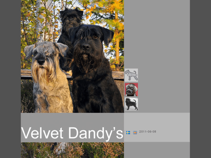 www.velvetdandys.com