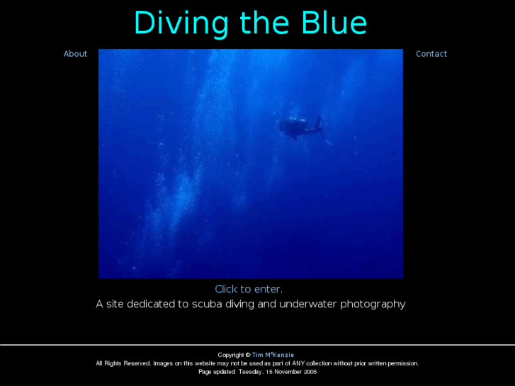 www.divingtheblue.com