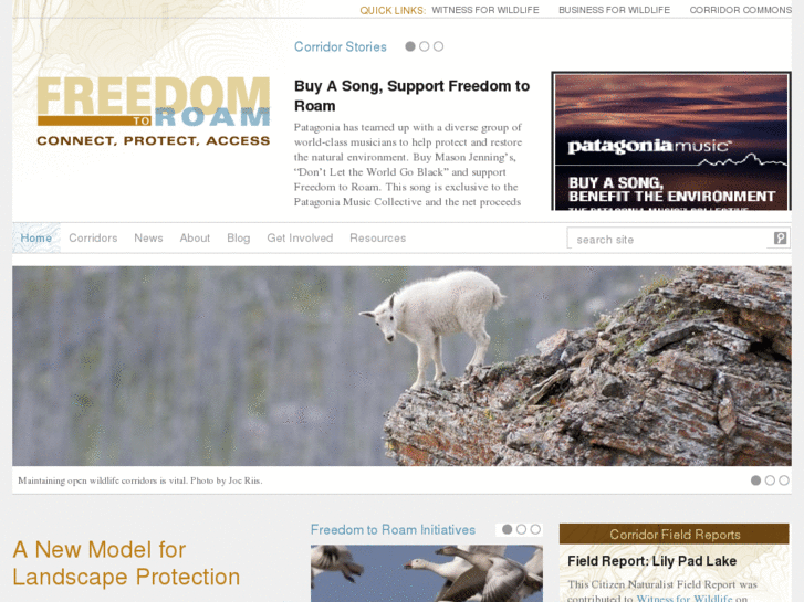 www.freedomtoroam.org