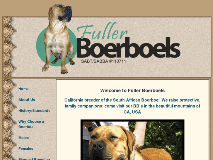 www.fullerboerboels.com