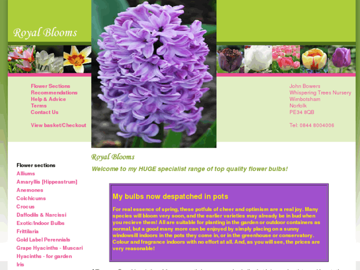 www.royal-blooms.com