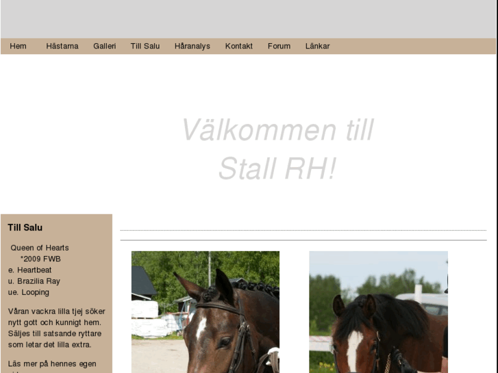 www.stallrh.com