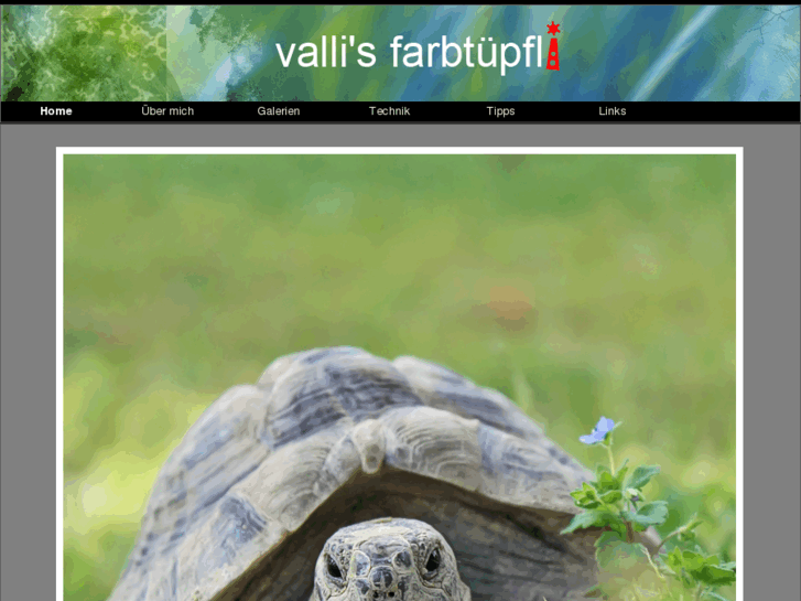 www.villa-valli.com