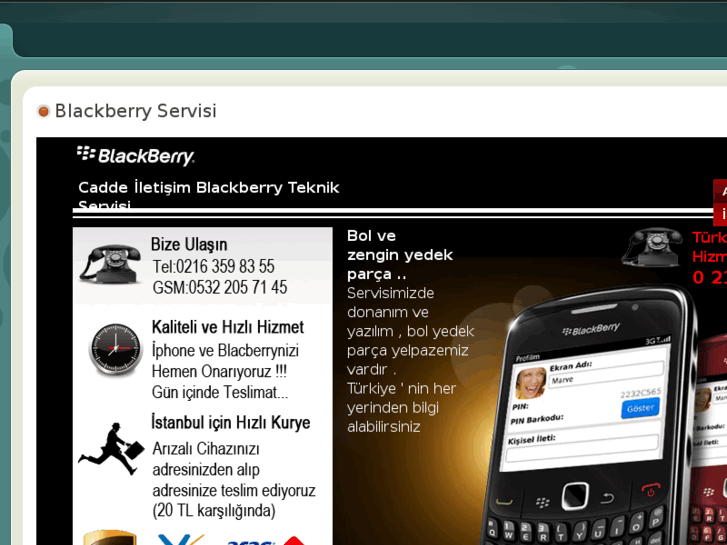 www.blackberryservisi.org