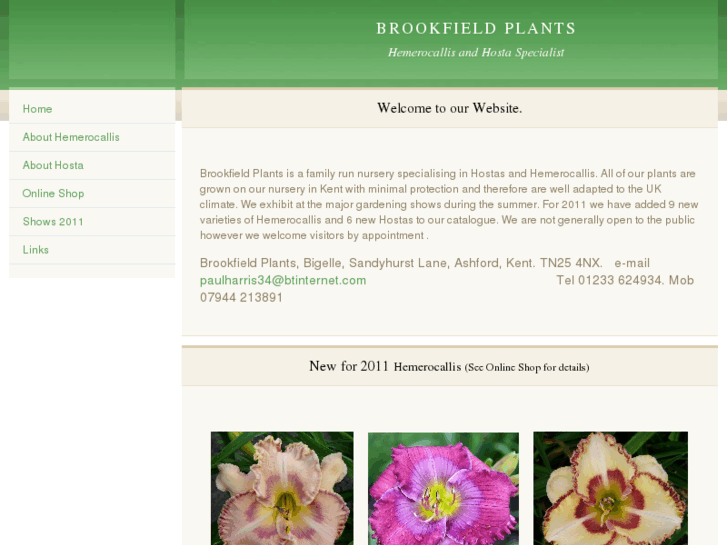 www.brookfieldplants.com
