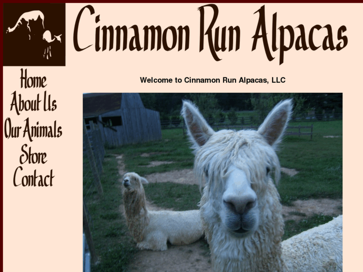 www.cinnamonrunalpacas.com