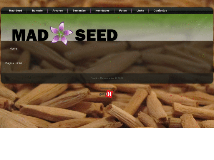 www.mad-seed.com