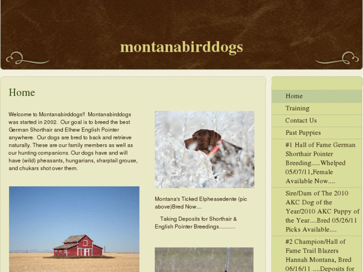 www.montanabirddogs.com