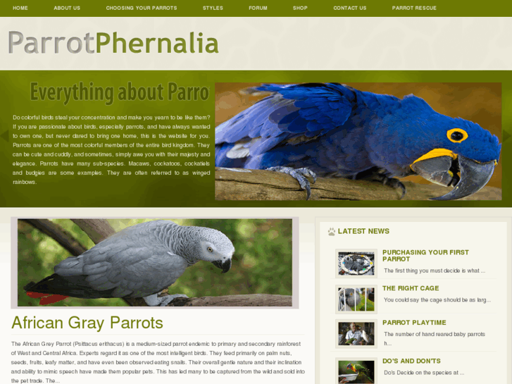 www.parrotphernalia.co.uk