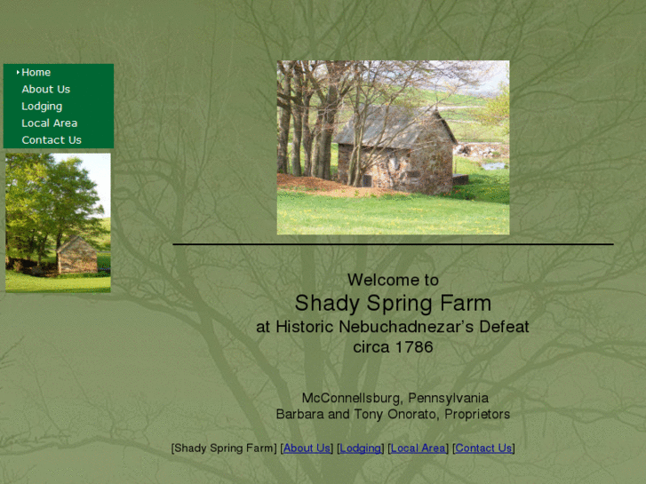 www.shadyspringfarm.com