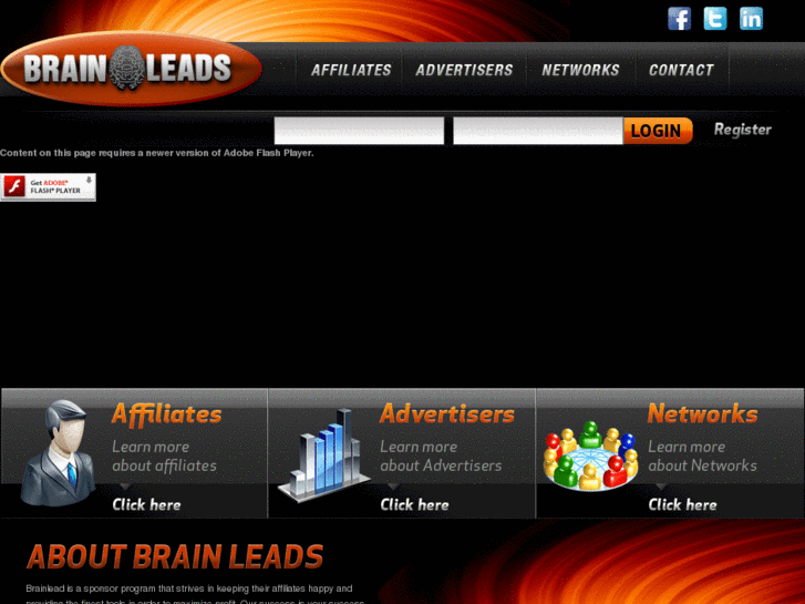 www.brainleads.com