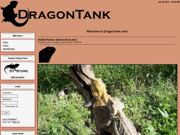 www.dragontank.com