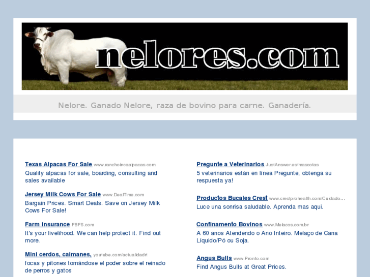 www.nelores.com