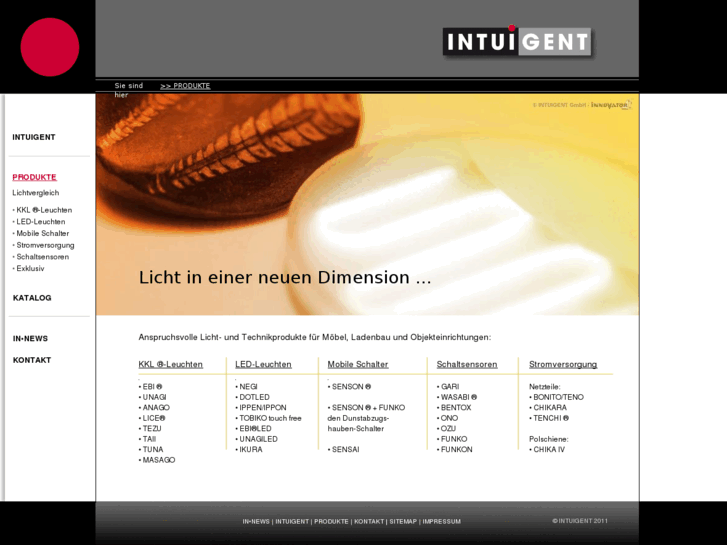 www.spiegel-leuchte.com