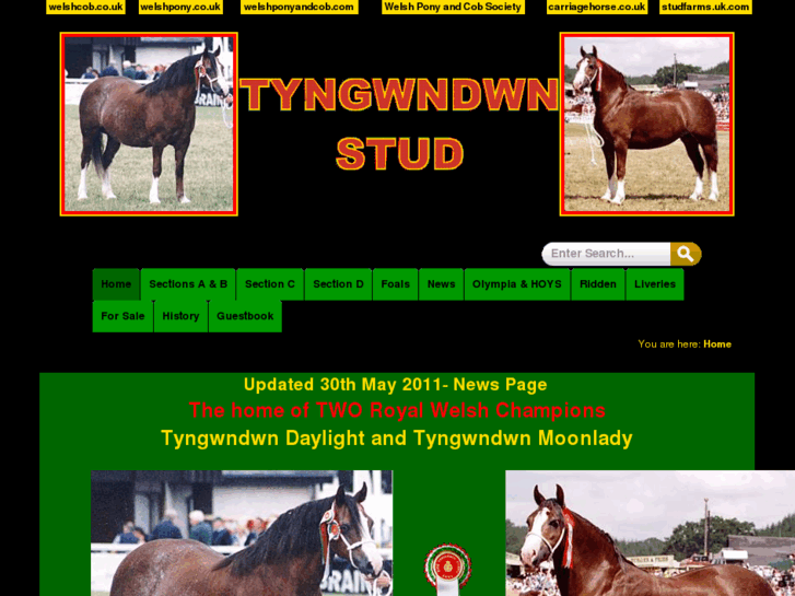 www.tyngwndwn.com