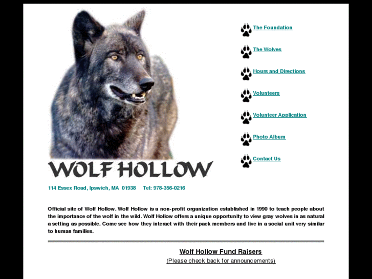 www.wolfhollowipswich.com