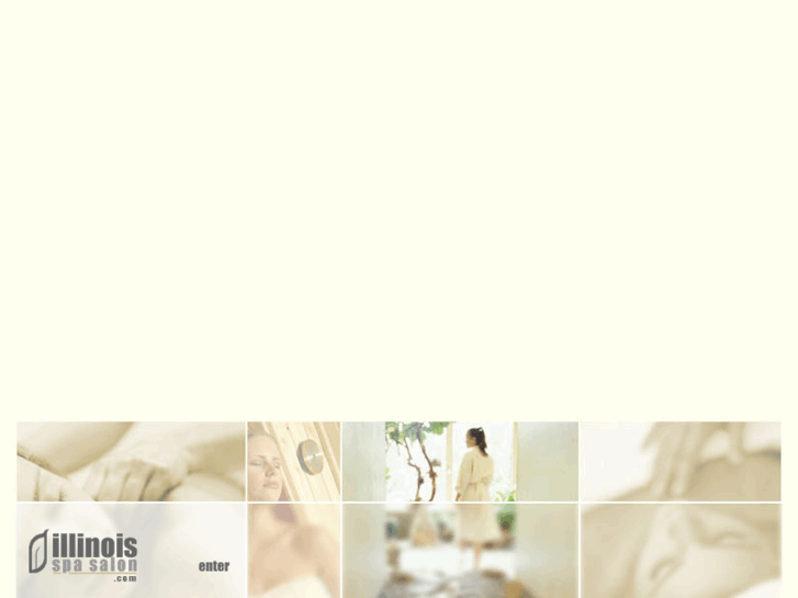 www.illinoisspasalon.com