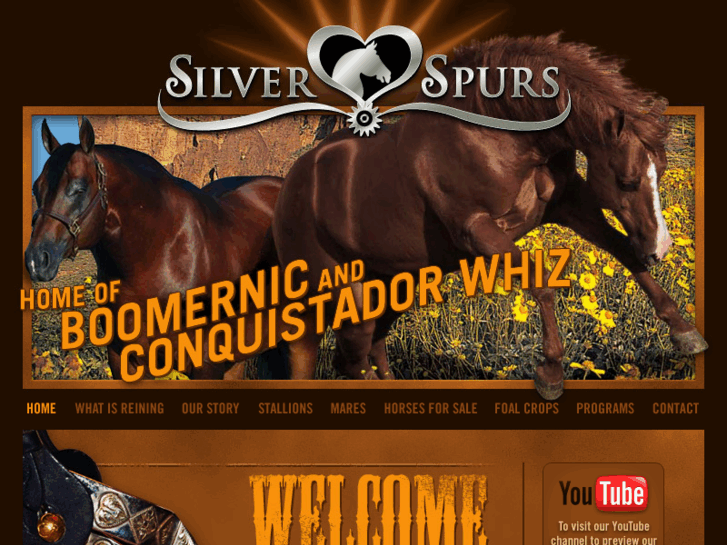 www.silverspursequine.com