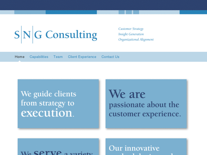 www.sngconsulting.com