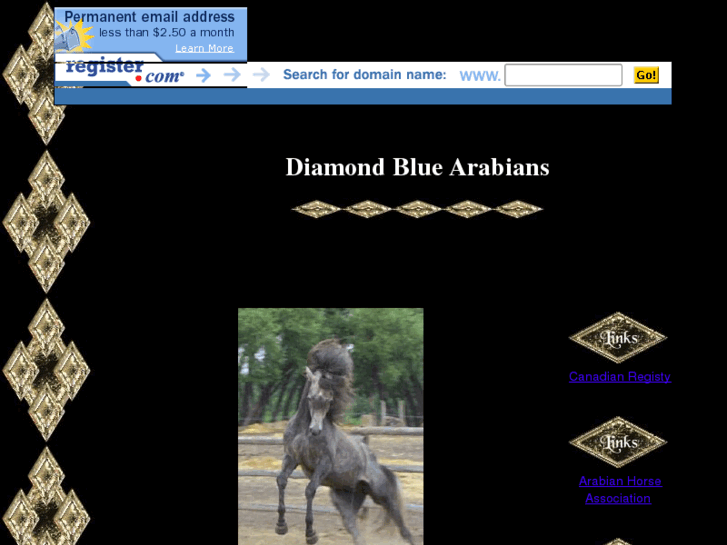 www.diamond-blue-arabians.com