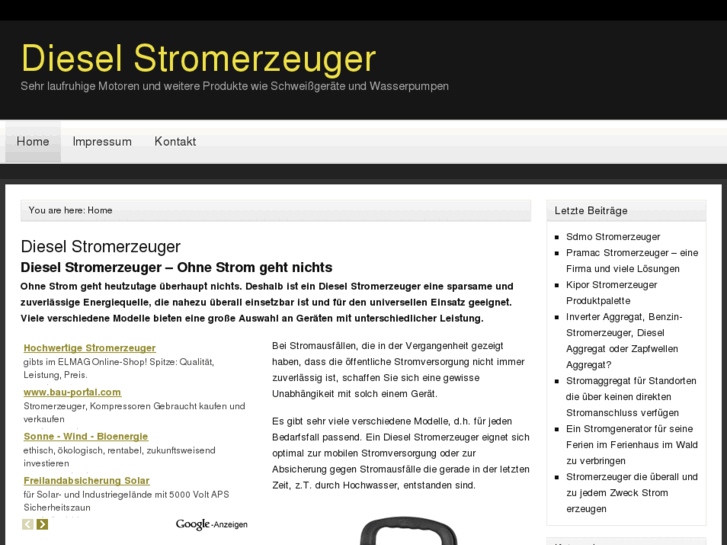 www.dieselstromerzeuger.net