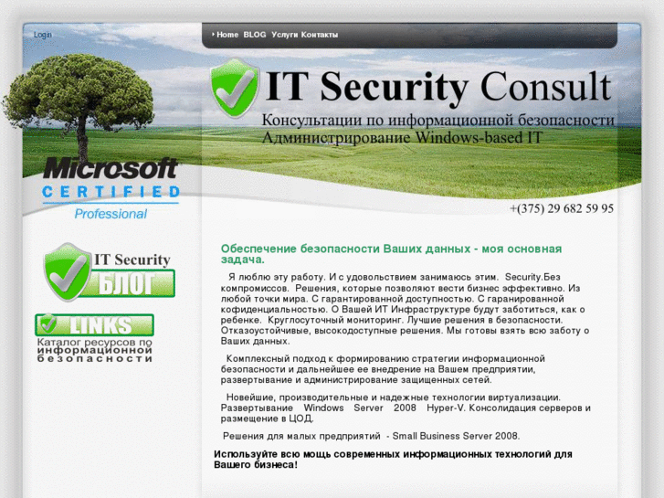 www.itsecurityconsult.com