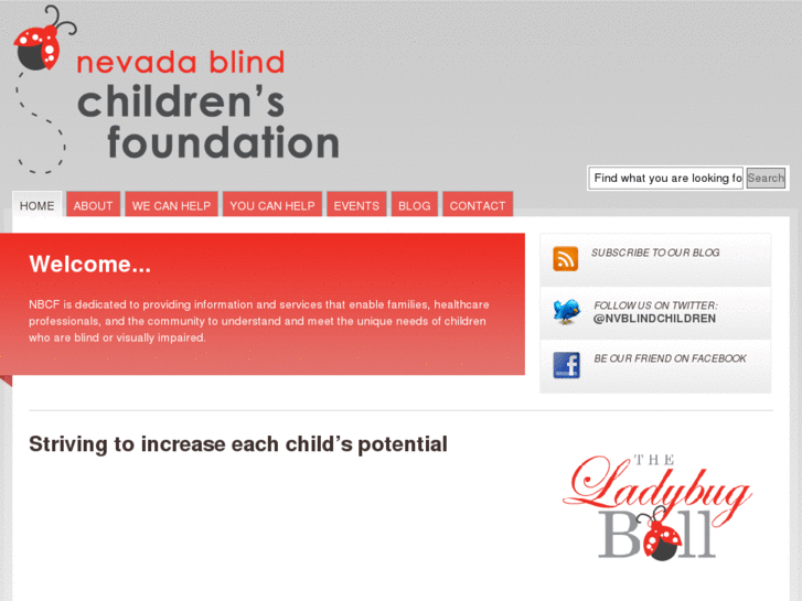 www.nvblindchildren.org