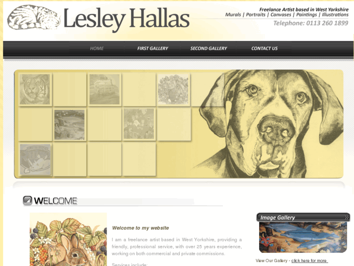 www.lesleyhallas.com