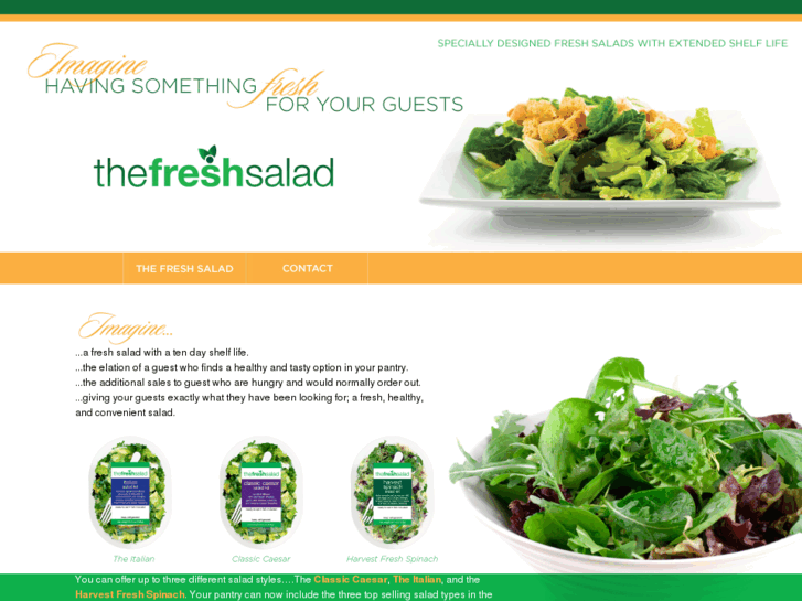 www.thefreshsalad.com