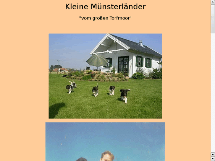 www.xn--mnsterlnder-r8a91a.net