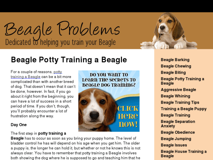 www.beagleproblems.org