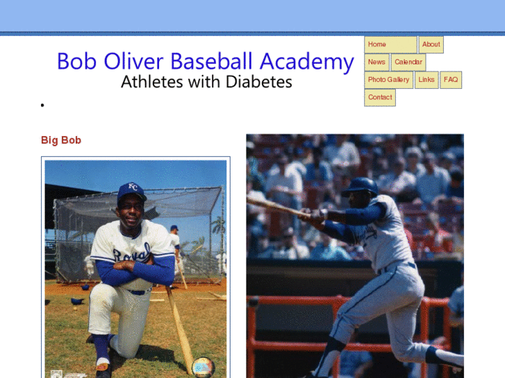 www.boboliverbaseballacademy.org