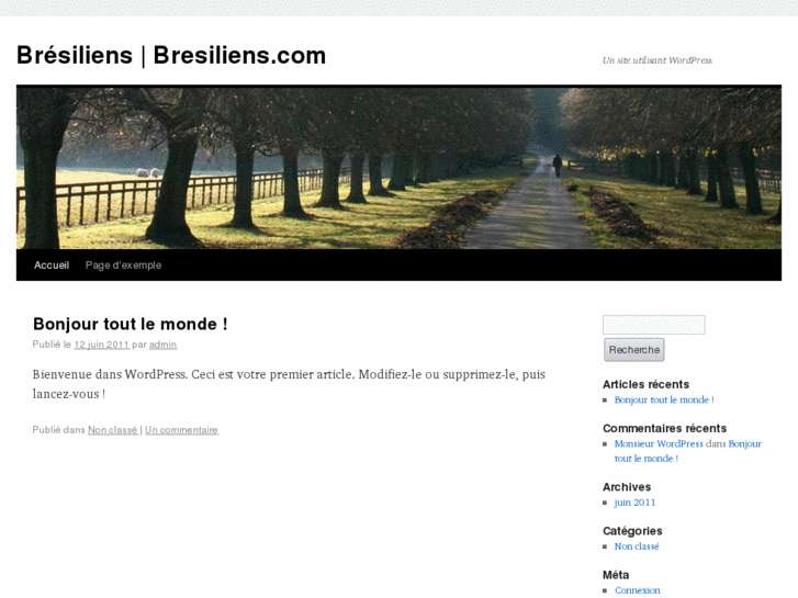 www.bresiliens.com