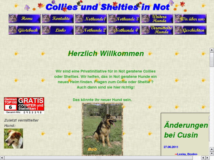 www.collies-und-shelties-in-not.de