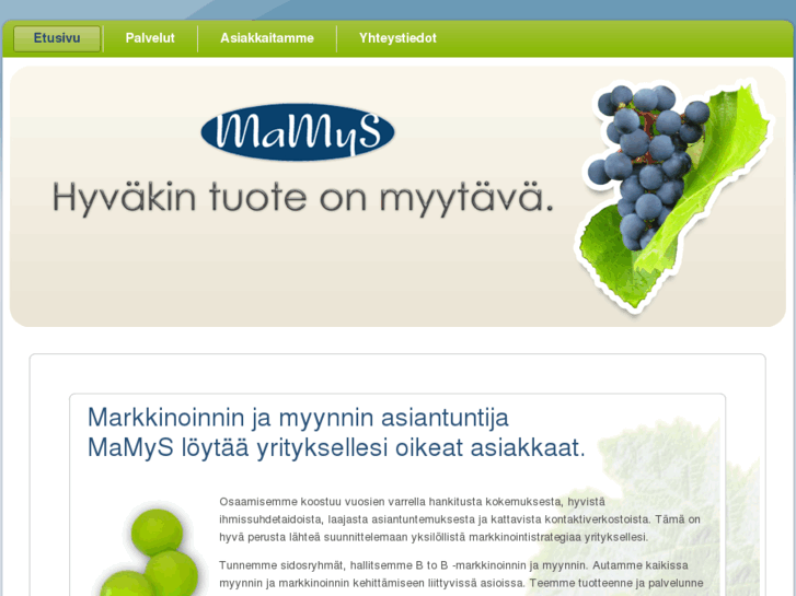 www.mamys.fi